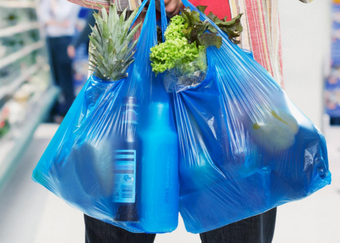 В Молдове введут запрет на использование пластиковых пакетов!