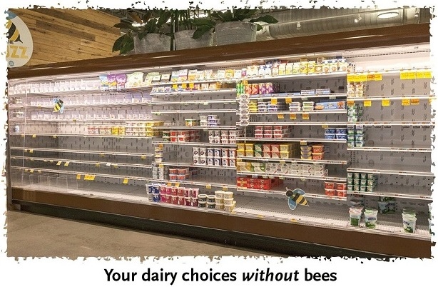 Мир без пчел: как выглядели бы полки магазинов?
