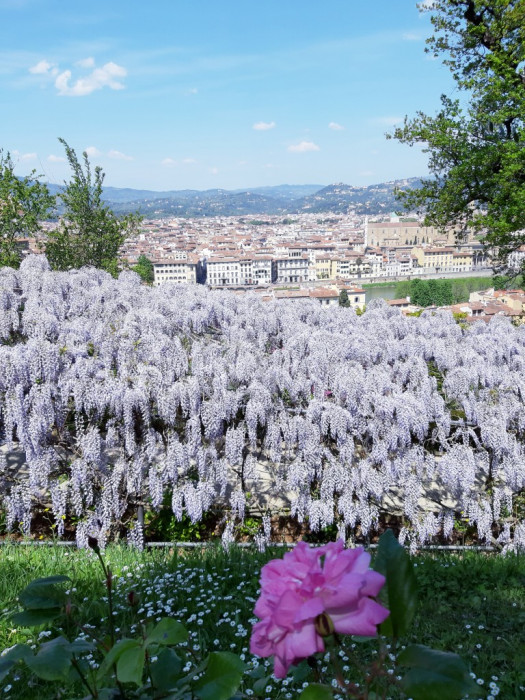 Вилла во Флоренции украшена одним из самых красивых садов в Италии (+Фото)
