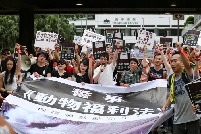 В Китае прошла демонстрация в защиту прав животных