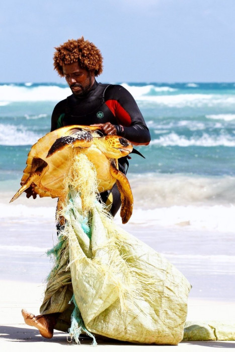 Пластик в океане убивает жизнь (Фото)