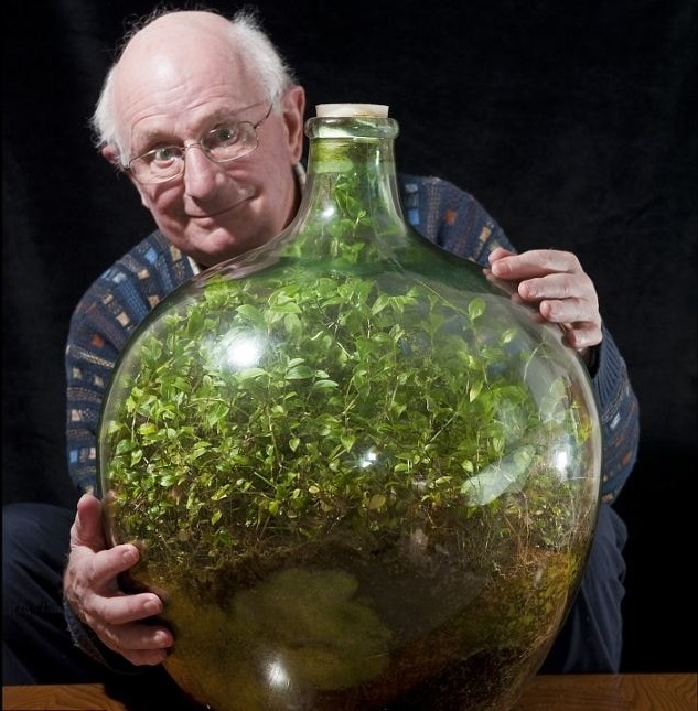 Невероятно! Это растение много лет живёт в бутылке и само себя обеспечивает и воздухом и едой и водой...