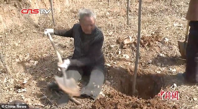 70-летний безногий ветеран посадил за 19 лет 17 000 деревьев (+Фото)