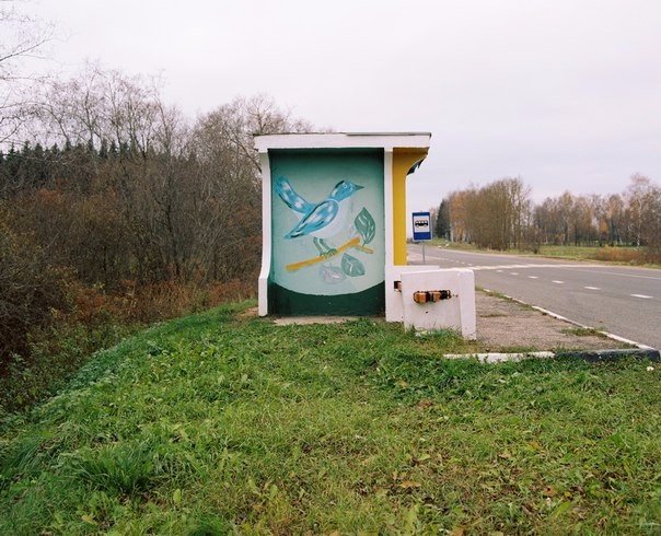 Колоритные автобусные остановки на просторах Беларуси (Фото)