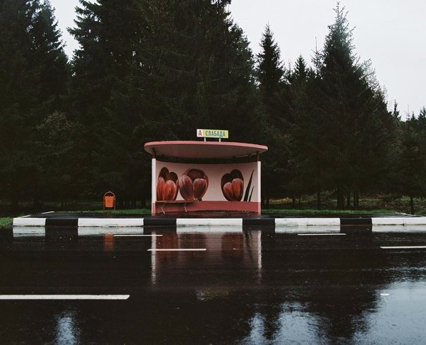 Колоритные автобусные остановки на просторах Беларуси (Фото)