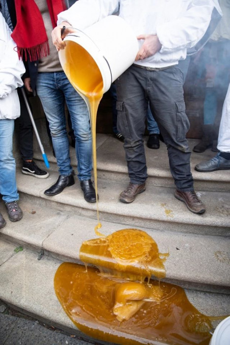 Немецкий пчеловод разлил мёд, загрязнённый глифосатом, у Министерства сельского хозяйства (Фото)
