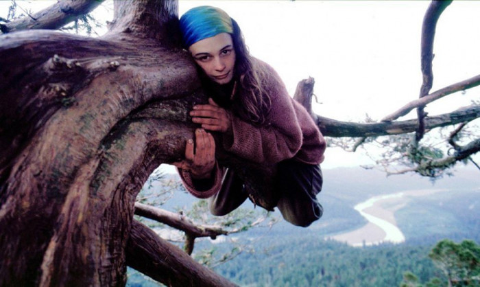 Девушка прожила два года на дереве, чтобы защитить его (Фото)