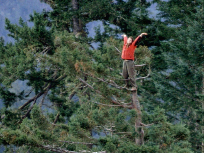 Девушка прожила два года на дереве, чтобы защитить его (Фото)