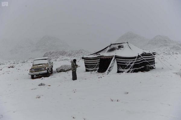В пустыне Саудовской Аравии выпал снег: впечатляющие фото и видео