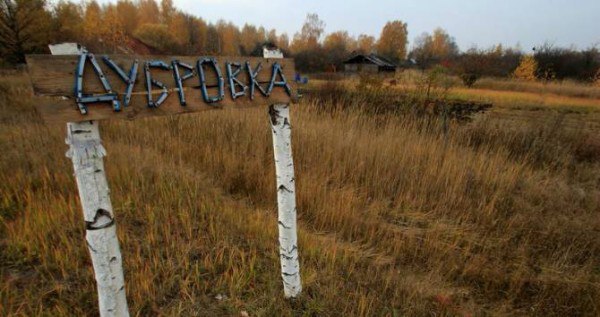 Пьяный лес в Рязанской области: Кто согнул деревья? (+Фото)