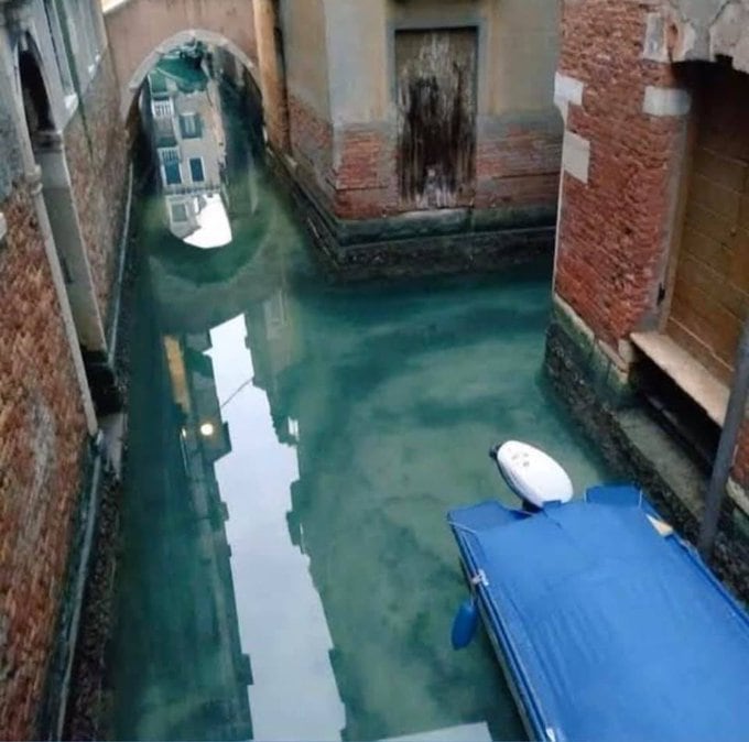 Карантин улучшил экологию — воздух над Италией и Китаем стал чище, а в Венеции появились рыбы и лебеди