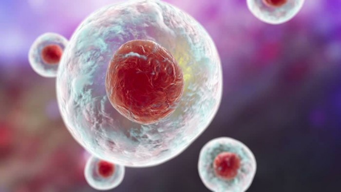 Как выглядят здоровые клетки нашего тела? (Фото)
