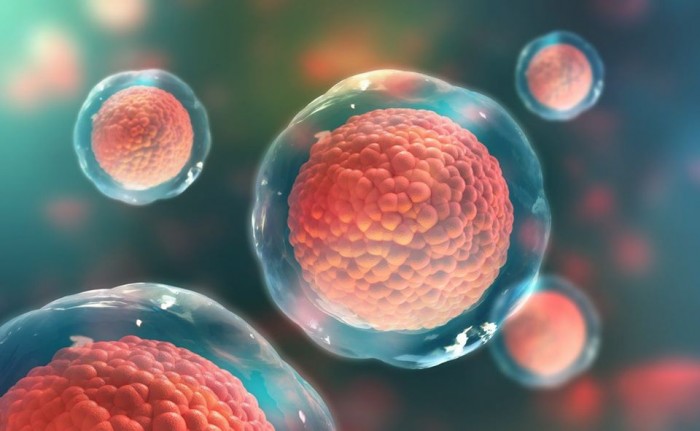 Как выглядят здоровые клетки нашего тела? (Фото)