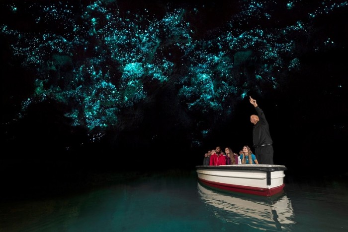 Вайтомо - пещеры светлячков в Новой Зеландии (+Фото)