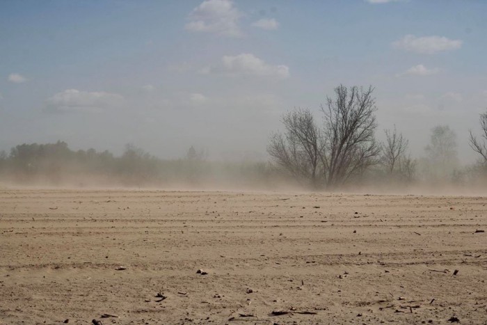 Вырубка лесов, изменение климата и пыльные бури: как Украина превращается в пустыню