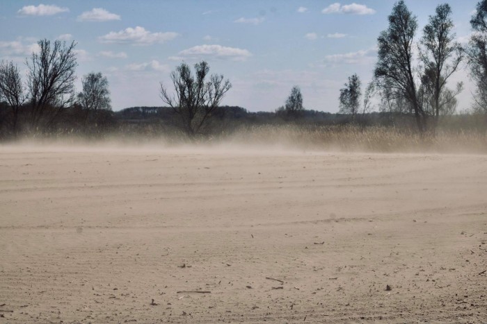 Вырубка лесов, изменение климата и пыльные бури: как Украина превращается в пустыню