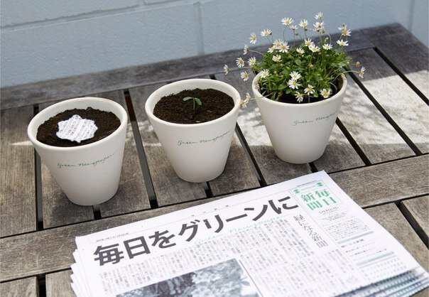 Японская еженедельная газета The Mainichi Shimbunsha стала зеленой (+Фото)