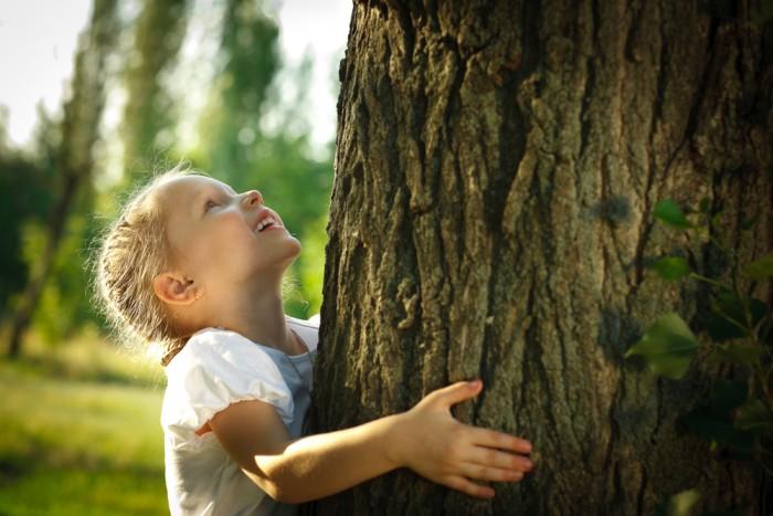 10 интересных фактов о деревьях (Видео)