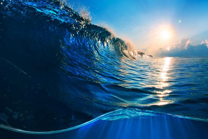 Океан. 10 Интересных Фактов (Видео)