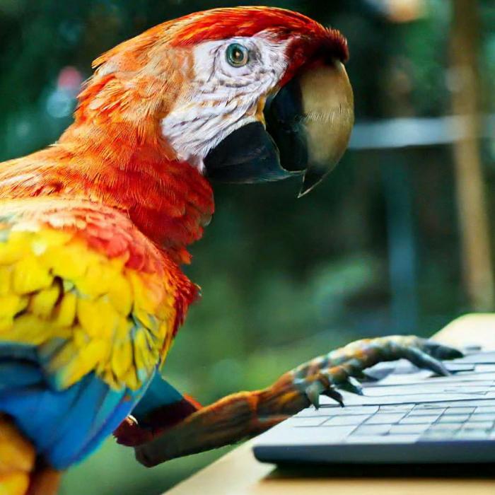 Современный попугай разбирается в интернете (Видео)