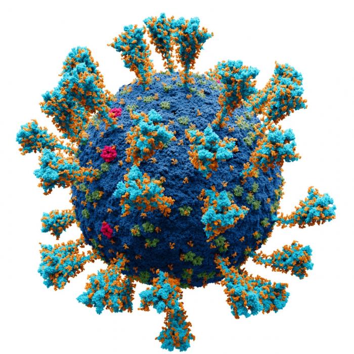 ВОЗ: Миру после пандемии коронавируса нужно готовиться к новой - болезни X