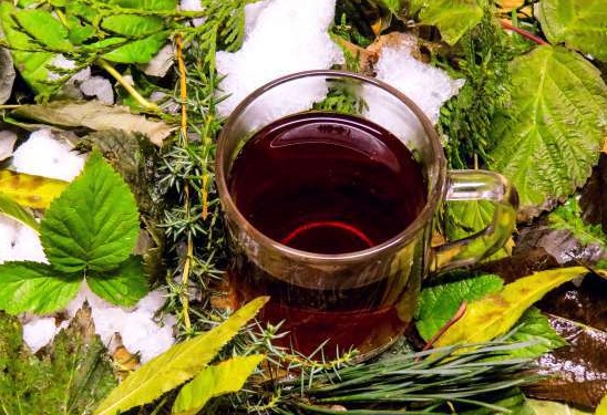 Чай из фруктовых листьев польза