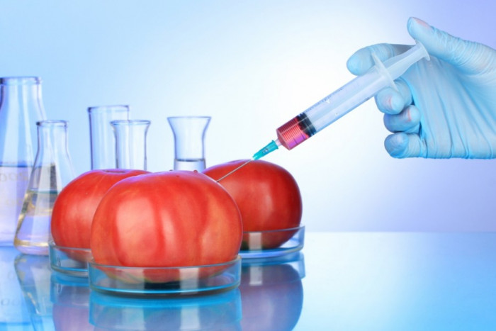 Доказано: ГМО продукты наносят непоправимый вред человеку!