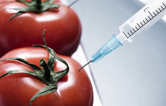 Самые известные ГМО продукты которые мы едим каждый день (Видео)