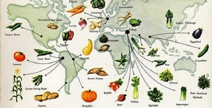 История каждого овоща — очень познавательно!